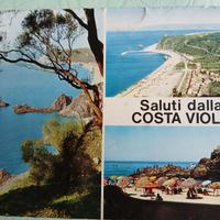 palmi cartolina vintage  saluti dalla costa viola