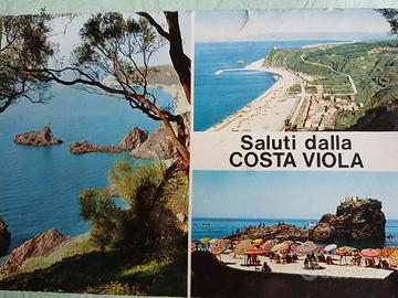 palmi cartolina vintage  saluti dalla costa viola