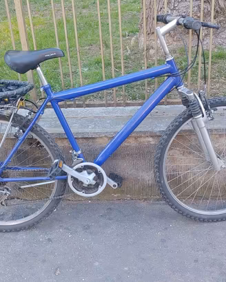 Bici Mountain Bike