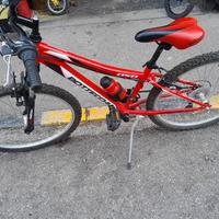 MTB Bottecchia Ruote 24