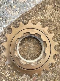 Pignone ruota libera Bicicletta
