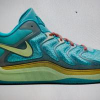 Scarpe Basket Nike tg42 Bahamas x Ho quel Jones
