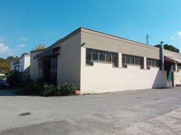 Capannone con piazzale