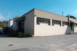 Capannone con piazzale