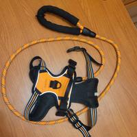 PETTORINA CON GUINZAGLIO