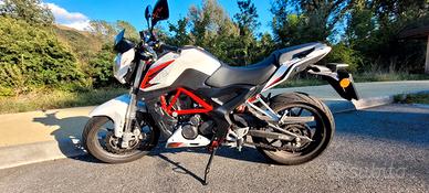 Benelli BN 251 - 2021
