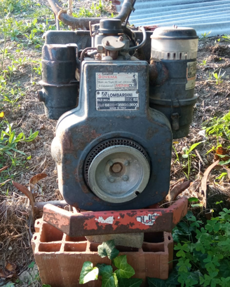 Motozappa Lombardini 10cv diesel