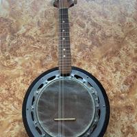 Mandolino banjo di liuteria
