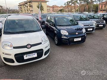 Fiat Panda 2021/2022 vari colori