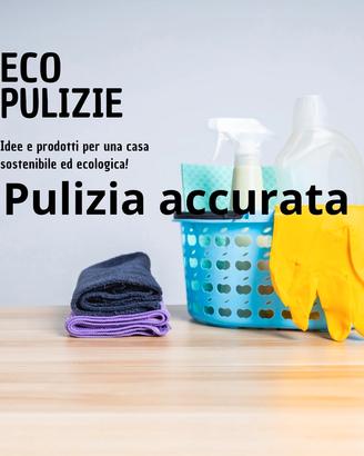  lavoro domestico 