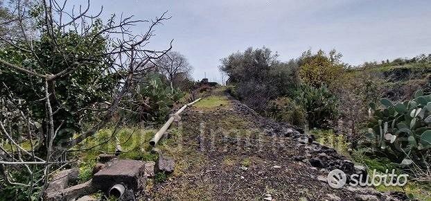 Terreno pianeggiante 6.500 mq con fabbricati - Altro