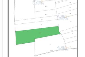 Terreno Agricolo Tigliole [A4307118]