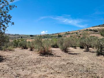 Uliveto - Terreno edificabile