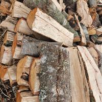 Legna leccio e quercia