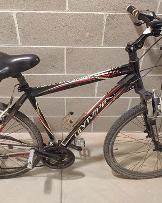 MTB Olympia 