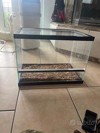 Terrario