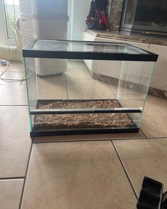 Terrario