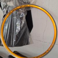 cerchi bici mtb