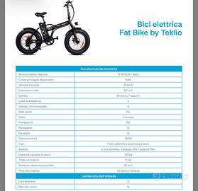 Fat bike Teklio