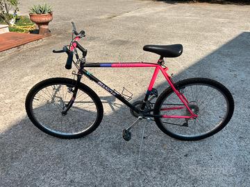 Bicicletta