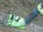 Immagine 6