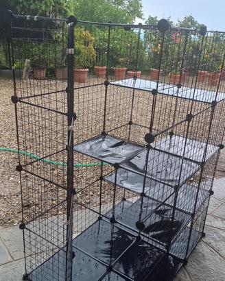 Gabbia da esterno ed interno per gattini e piccoli