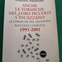 Anche le formiche nel loro piccolo s'incazzano.