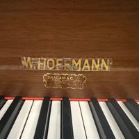 Pianoforte a coda W. Gofmann