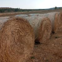 Rotopresse trifoglio