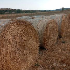Rotopresse trifoglio