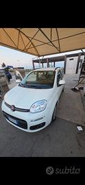 Fiat panda 1.2 benzina