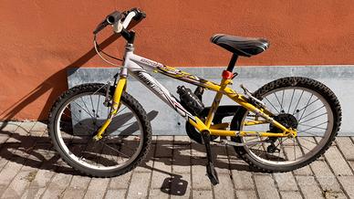 Mountai bike da bambino