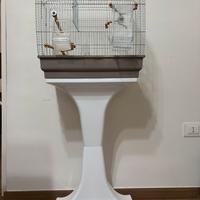 Gabbia per calopsiti/ uccellini con supporto ruote