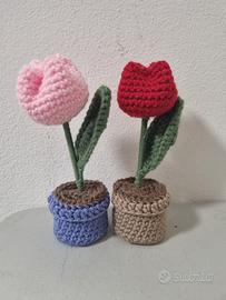 coppia tulipani 