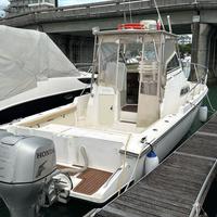 Coppia motori fuoribordo Honda 225 cv