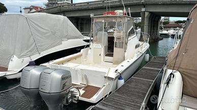 Coppia motori fuoribordo Honda 225 cv