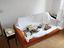 Immagine 18