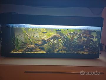 Acquario completo
