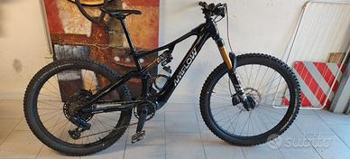 Amflow PX Carbon 
