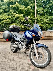 Suzuki Freewind 650 (2000) - Guidabile A2, Iscrivi