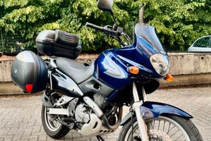 Suzuki Freewind 650 (2000) - Guidabile A2, Iscrivi