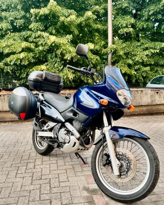 Suzuki Freewind 650 (2000) - Guidabile A2, Iscrivi