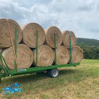 Fieno erba medica mucche cavalli pecore capre