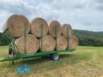 Fieno erba medica mucche cavalli pecore capre