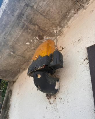 Came lampeggiatore esterno sistema automatico