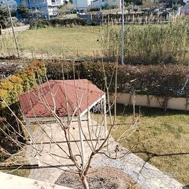 Casa vacanze - Davoli marina (CZ)