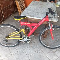 Bicicletta Mountain-bike