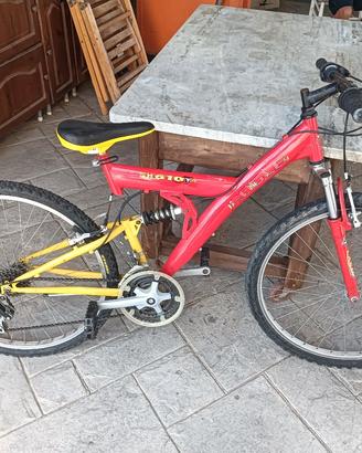 Bicicletta Mountain-bike
