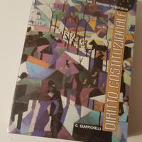 Manuale di diritto costituzionale Bin Pitruzzella