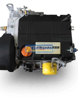 MOTORE LOMBARDINI LDW 502 M3